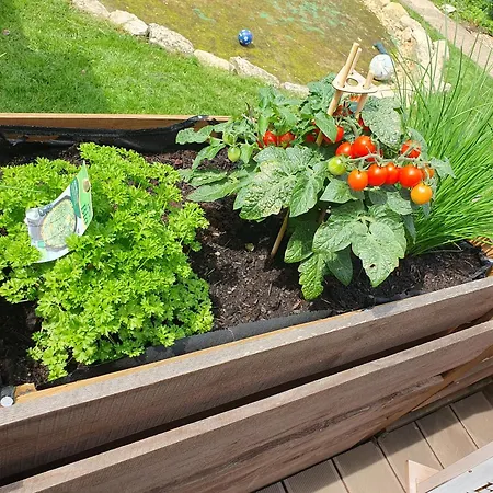 Weismark Apartment *