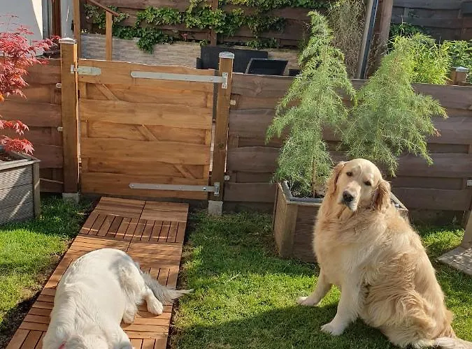 Apartamento Weismark