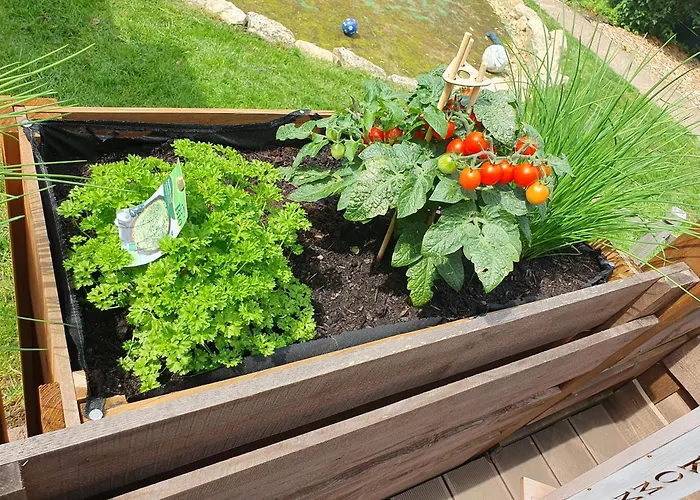 Weismark Apartamento *